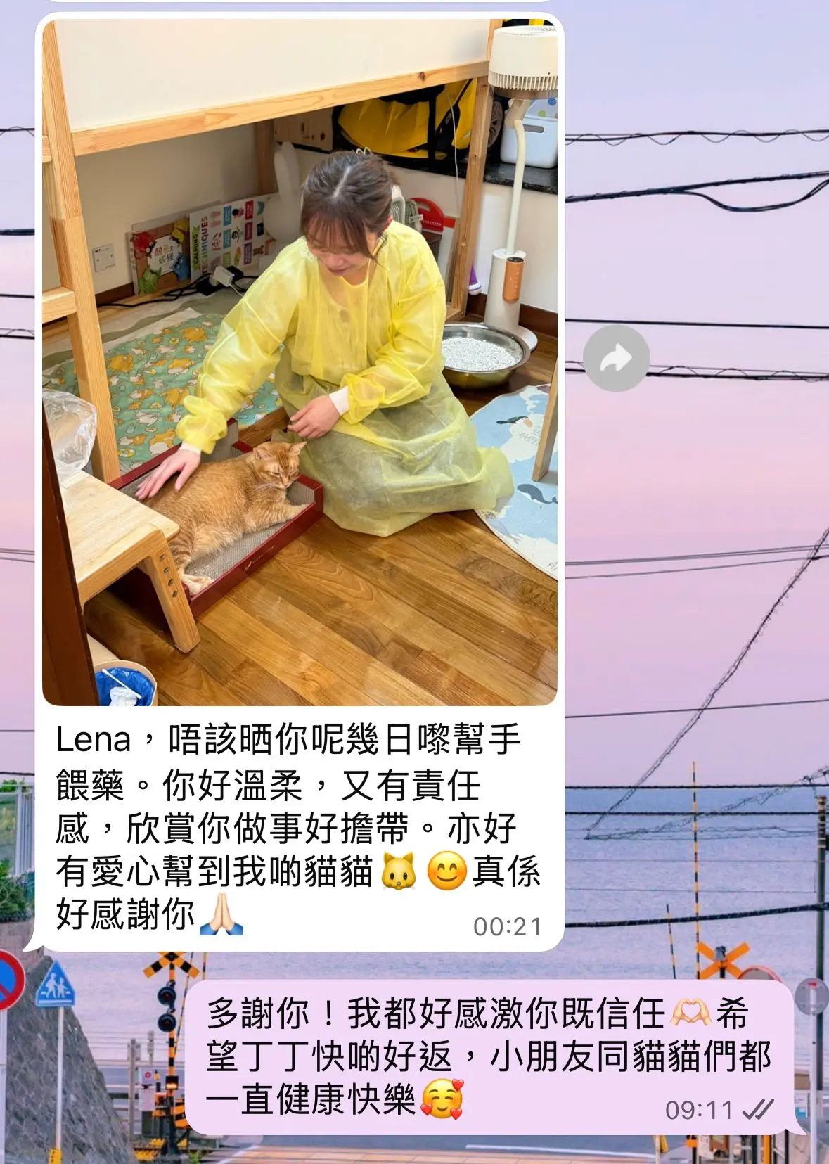布丁主人